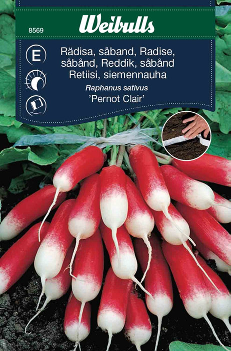 Reddik (lang såbånd) - Pernot Claire